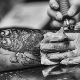 owl-1281791_1920